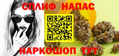 spice Гатчина