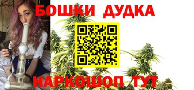 spice Гатчина