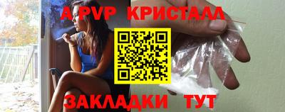 spice Гатчина